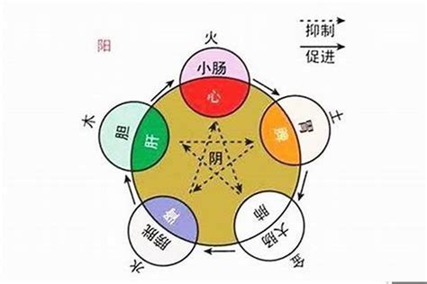 尚五行|尚的五行属性